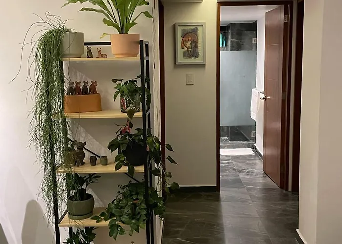 Apartamento Great In The Heart Of Coyoacan *