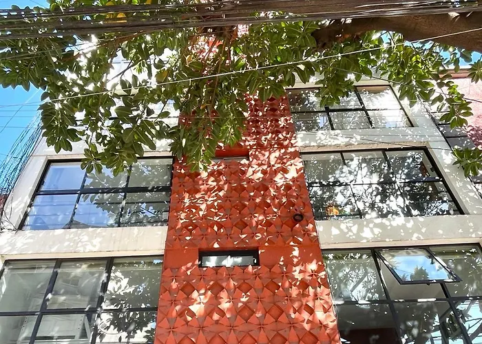 Great In The Heart Of Coyoacan * México DF